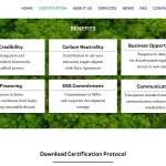 Post-Event Carbon Offset Programs for Exhibition Organizers